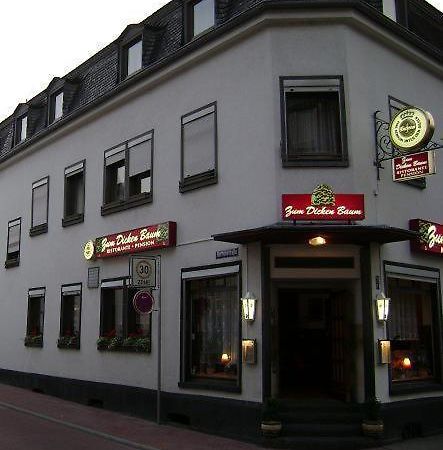 Hotel Zum Dicken Baum Mayen Bagian luar foto